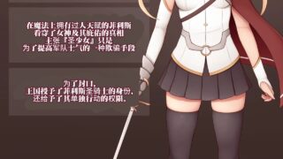 【neko-rise】圣少女骑士团【URA个人汉化】